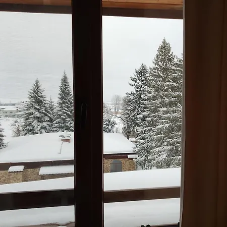 роси студио