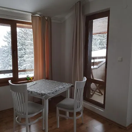 роси студио Banszko