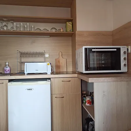 роси студио