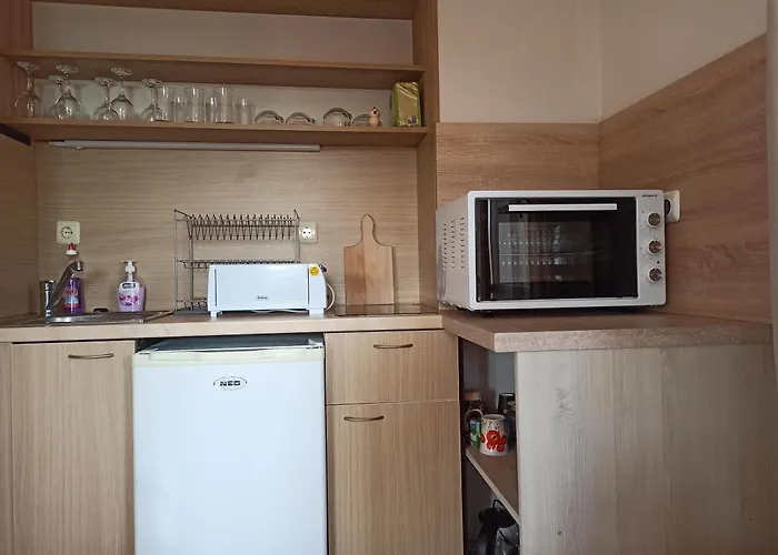 роси студио