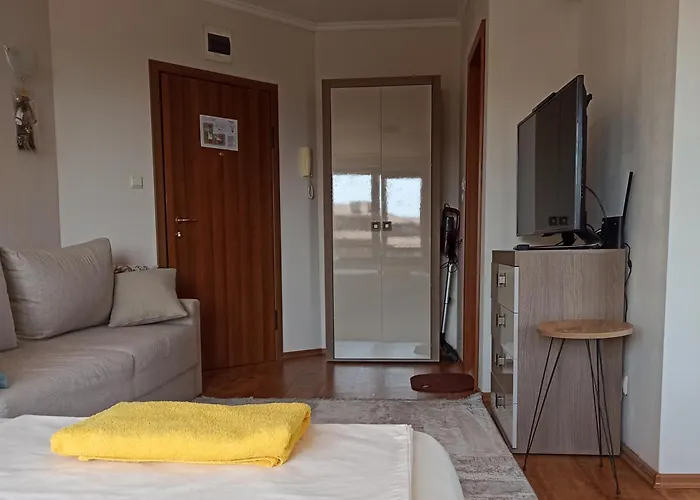 роси студио